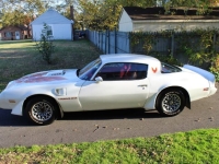 1979 Pontiac Firebird for sale in Michigan (ID-161183)