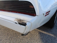 1979 Pontiac Firebird for sale in Michigan (ID-161183)