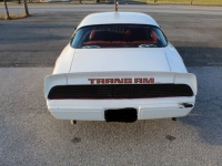 1979 Pontiac Firebird for sale in Michigan (ID-161183)