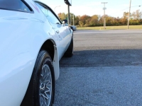 1979 Pontiac Firebird for sale in Michigan (ID-161183)