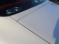 1979 Pontiac Firebird for sale in Michigan (ID-161183)