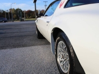 1979 Pontiac Firebird for sale in Michigan (ID-161183)