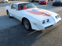 1979 Pontiac Firebird for sale in Michigan (ID-161183)