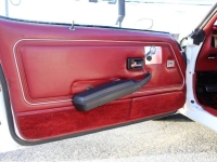 1979 Pontiac Firebird for sale in Michigan (ID-161183)