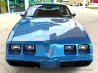 1979 Pontiac Firebird for sale in Riverhead, New York (ID-163568)