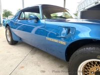 1979 Pontiac Firebird for sale in Riverhead, New York (ID-163568)