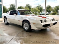 1979 Pontiac Firebird for sale in Riverhead, New York (ID-163952)