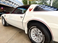 1979 Pontiac Firebird for sale in Riverhead, New York (ID-163952)