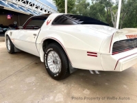 1979 Pontiac Firebird for sale in Riverhead, New York (ID-163952)