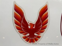 1979 Pontiac Firebird for sale in Riverhead, New York (ID-163952)