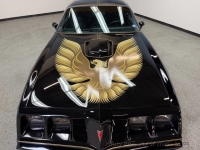 1979 Pontiac Firebird for sale in Riverhead, New York (ID-164183)