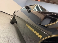 1979 Pontiac Firebird for sale in Riverhead, New York (ID-164183)