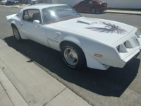 1979 Pontiac Trans Am for sale in Michigan (ID-102690)