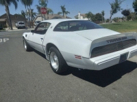 1979 Pontiac Trans Am for sale in Michigan (ID-102690)