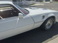 1979 Pontiac Trans Am for sale in Michigan (ID-102690)