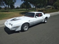 1979 Pontiac Trans Am for sale in Michigan (ID-102690)