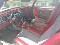 1979 Pontiac Trans Am for sale in Michigan (ID-102690)