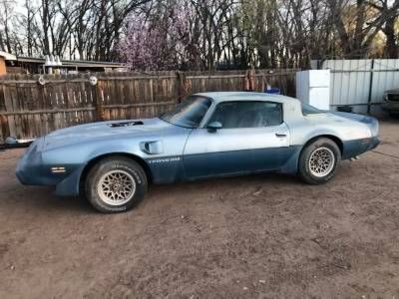 1979 Pontiac Trans Am for sale in Michigan (ID-106278) 1979 Pontiac Trans Am for sale in Michigan (ID-106278)