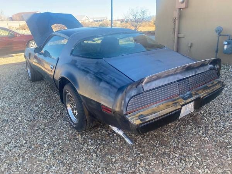 1979 Pontiac Trans Am for sale in Michigan (ID-106285)