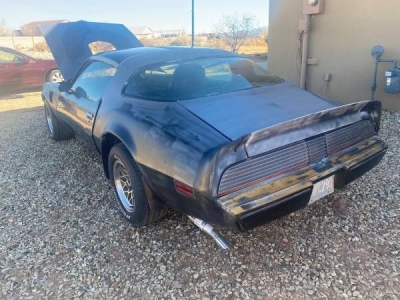 1979 Pontiac Trans Am for sale