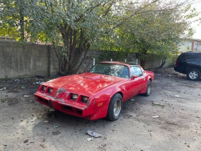 1979 Pontiac Trans Am for sale
