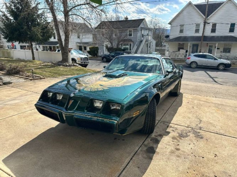 1979 Pontiac Trans Am for sale in Michigan (ID-113477)