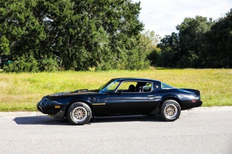 1979 Pontiac Trans Am for sale in Michigan (ID-114235)