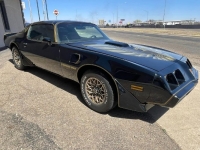 1979 Pontiac Trans Am for sale in Michigan (ID-114764)