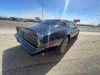 1979 Pontiac Trans Am for sale in Michigan (ID-114764)