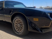 1979 Pontiac Trans Am for sale in Michigan (ID-114764)