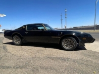 1979 Pontiac Trans Am for sale in Michigan (ID-114764)
