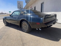 1979 Pontiac Trans Am for sale in Michigan (ID-114764)