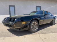 1979 Pontiac Trans Am for sale in Michigan (ID-114764)