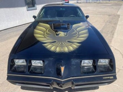 1979 Pontiac Trans Am for sale