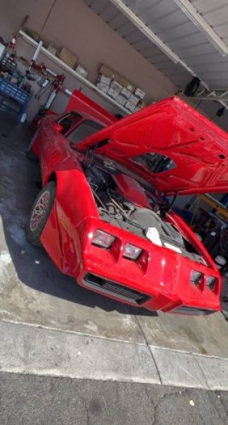 1979 Pontiac Trans Am for sale in Michigan (ID-115437) 1979 Pontiac Trans Am for sale in Michigan (ID-115437)