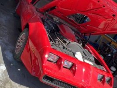 1979 Pontiac Trans Am for sale