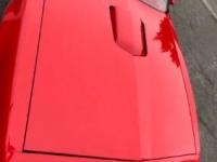 1979 Pontiac Trans Am for sale in Michigan (ID-115437)