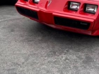 1979 Pontiac Trans Am for sale in Michigan (ID-115437)