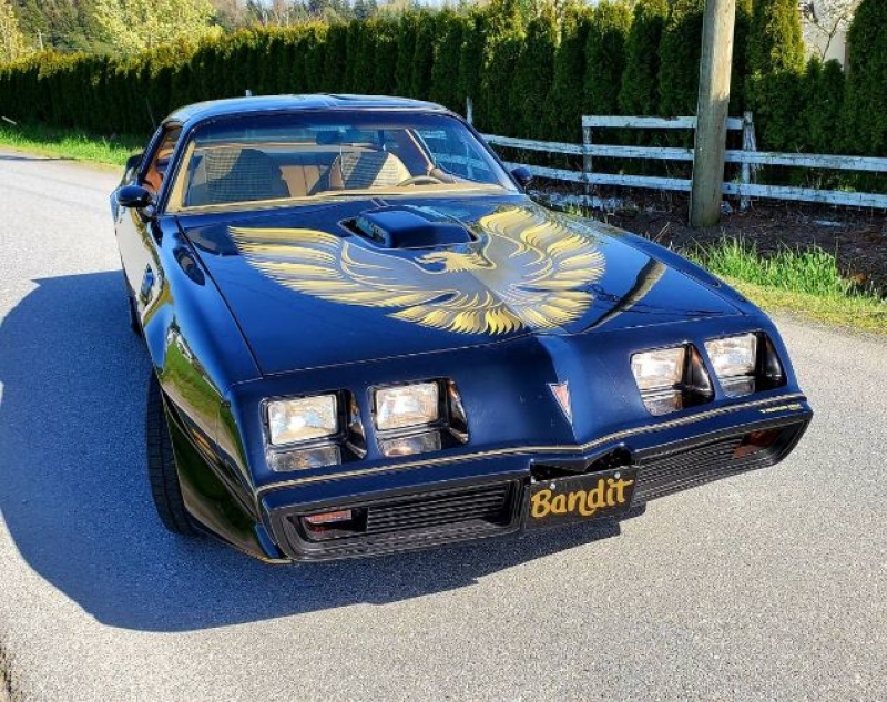 1979 Pontiac Trans Am for sale in Michigan (ID-116884)