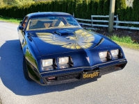 1979 Pontiac Trans Am for sale in Michigan (ID-116884)