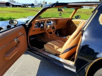1979 Pontiac Trans Am for sale in Michigan (ID-116884)