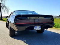 1979 Pontiac Trans Am for sale in Michigan (ID-116884)