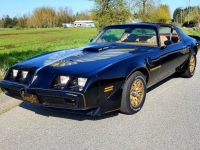 1979 Pontiac Trans Am for sale in Michigan (ID-116884)