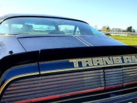 1979 Pontiac Trans Am for sale in Michigan (ID-116884)