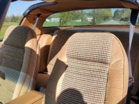 1979 Pontiac Trans Am for sale in Michigan (ID-116884)