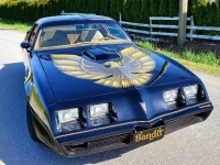 1979 Pontiac Trans Am for sale in Michigan (ID-116884)
