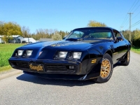 1979 Pontiac Trans Am for sale in Michigan (ID-116884)