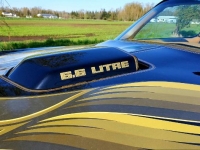 1979 Pontiac Trans Am for sale in Michigan (ID-116884)