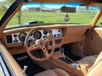 1979 Pontiac Trans Am for sale in Michigan (ID-116884)