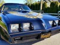 1979 Pontiac Trans Am for sale in Michigan (ID-116884)